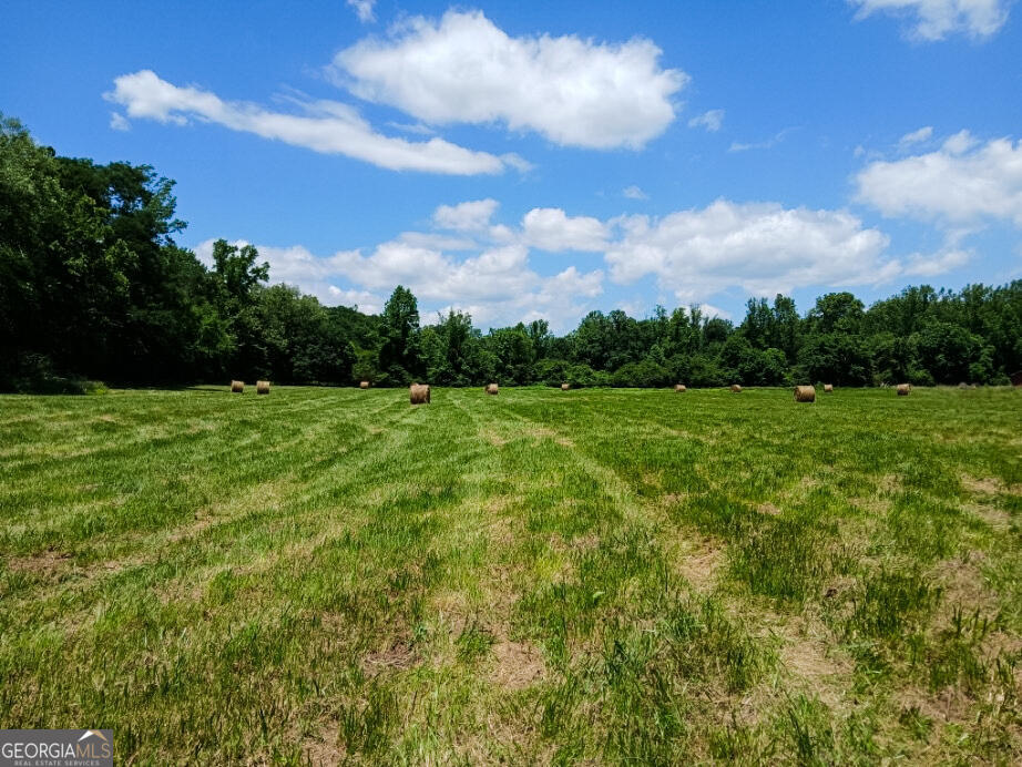 308 Idle Acres LN