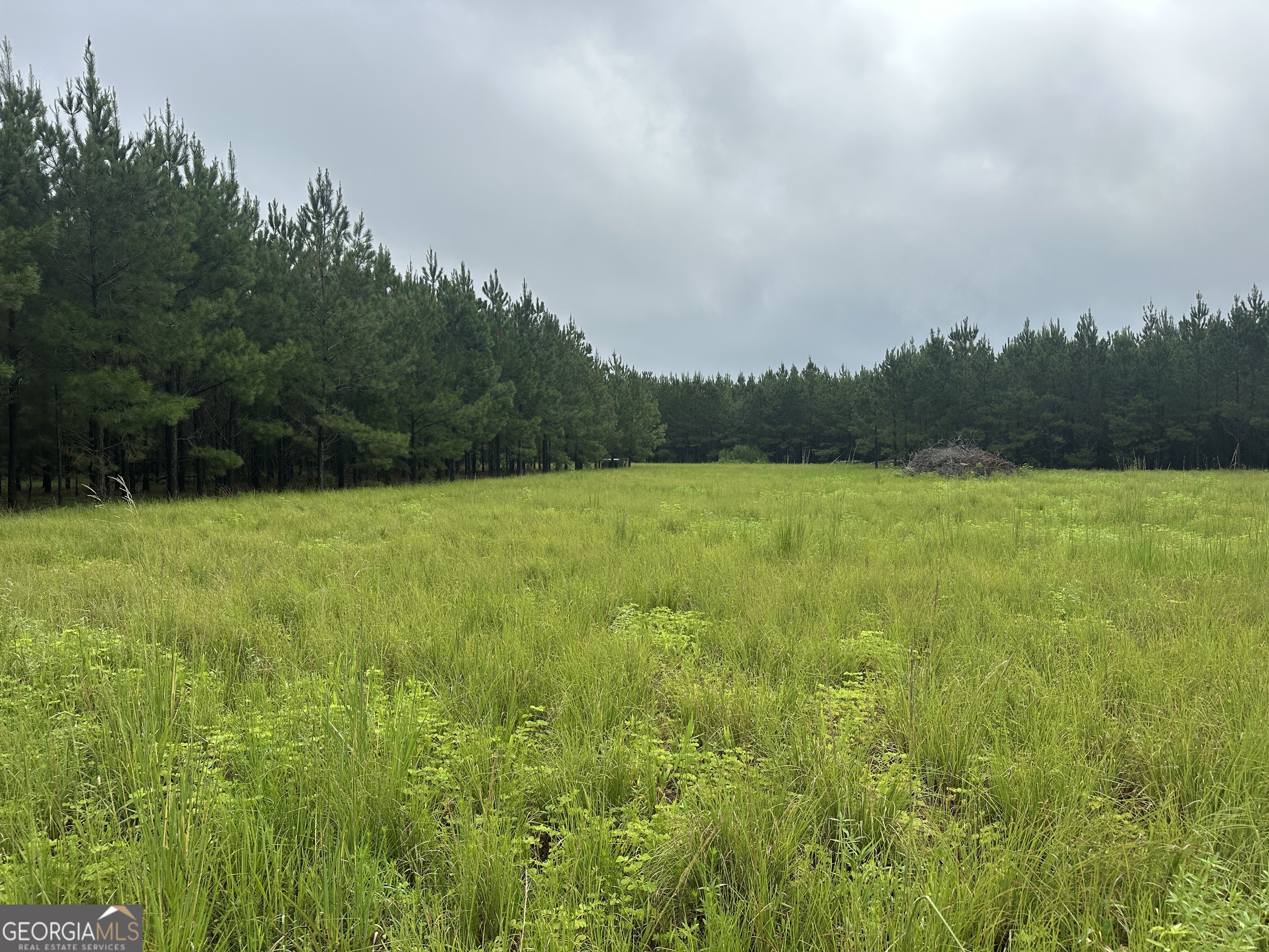 Nice lot in the highly sought after SE Bulloch school district. The property is made up of two parcels totaling 46.77 acres about 3 miles South of I-16 off HWY 67. The 6 acres lot has been recently mulched and is ready for a home to be built. There is a boarder of planted pines left down the property lines. The 40 acre lot has planted pines and some natural hardwood areas in the back of the property. The tract has several roads and food plots established for deer and turkey hunting.