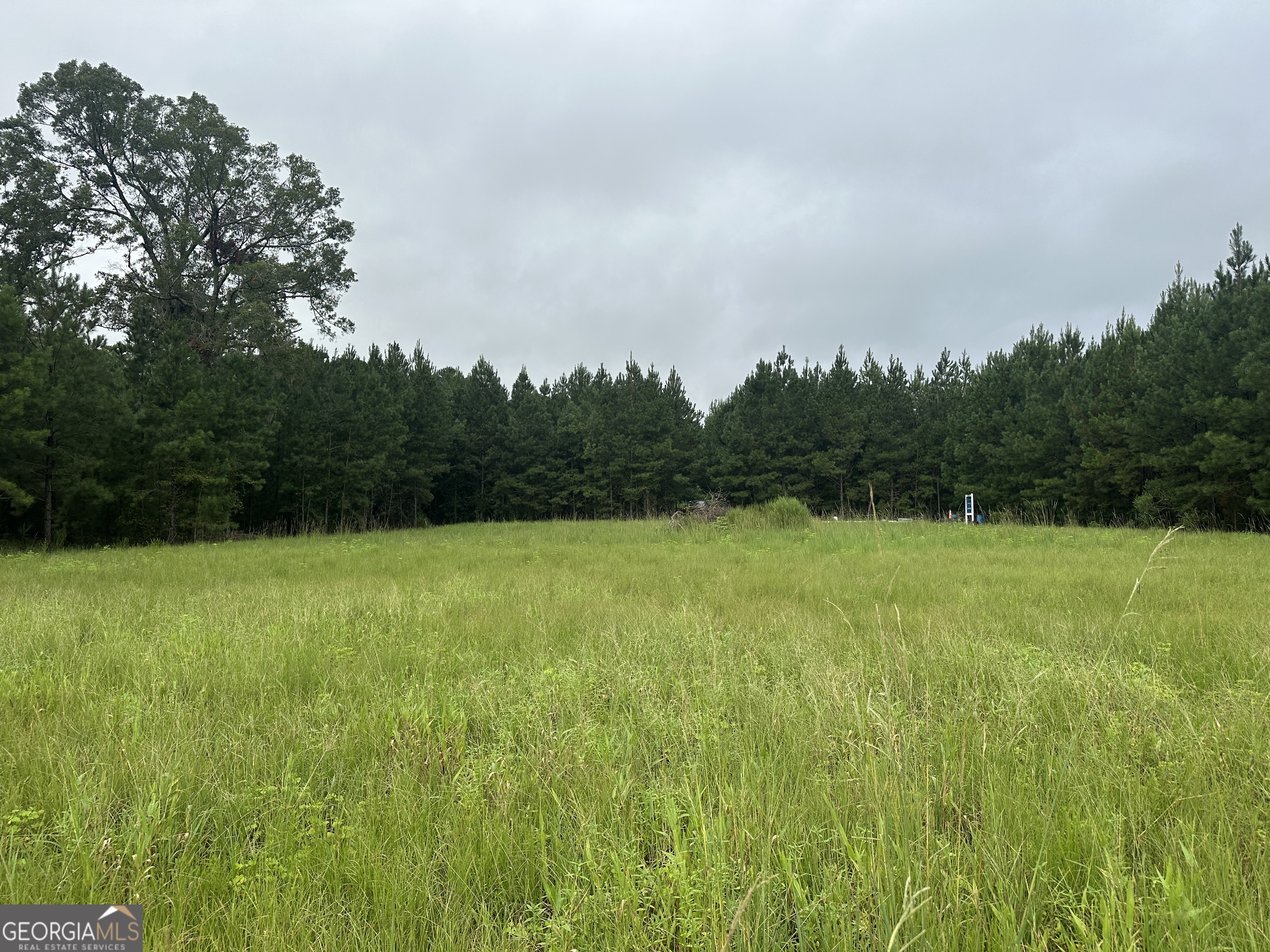 3302 Highway 67