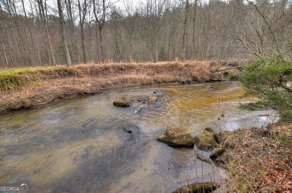 Photo of 1175 Lickskillet Circle, Epworth, GA 30541 (MLS # 10696762)