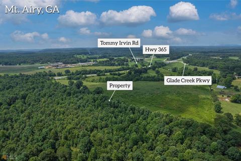 0 S Highway 365 Mount Airy GA 30563