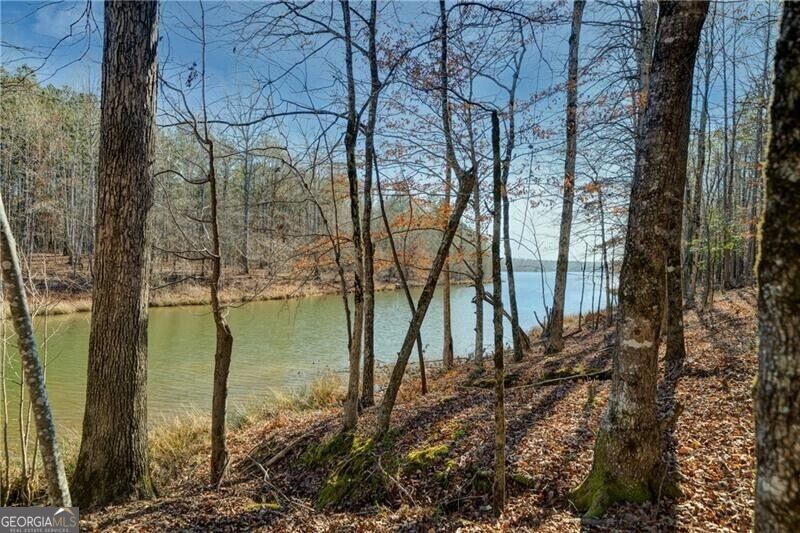 Photo of 689 Moccasin Gap Road, Jackson, GA 30233 (MLS # 10855916)