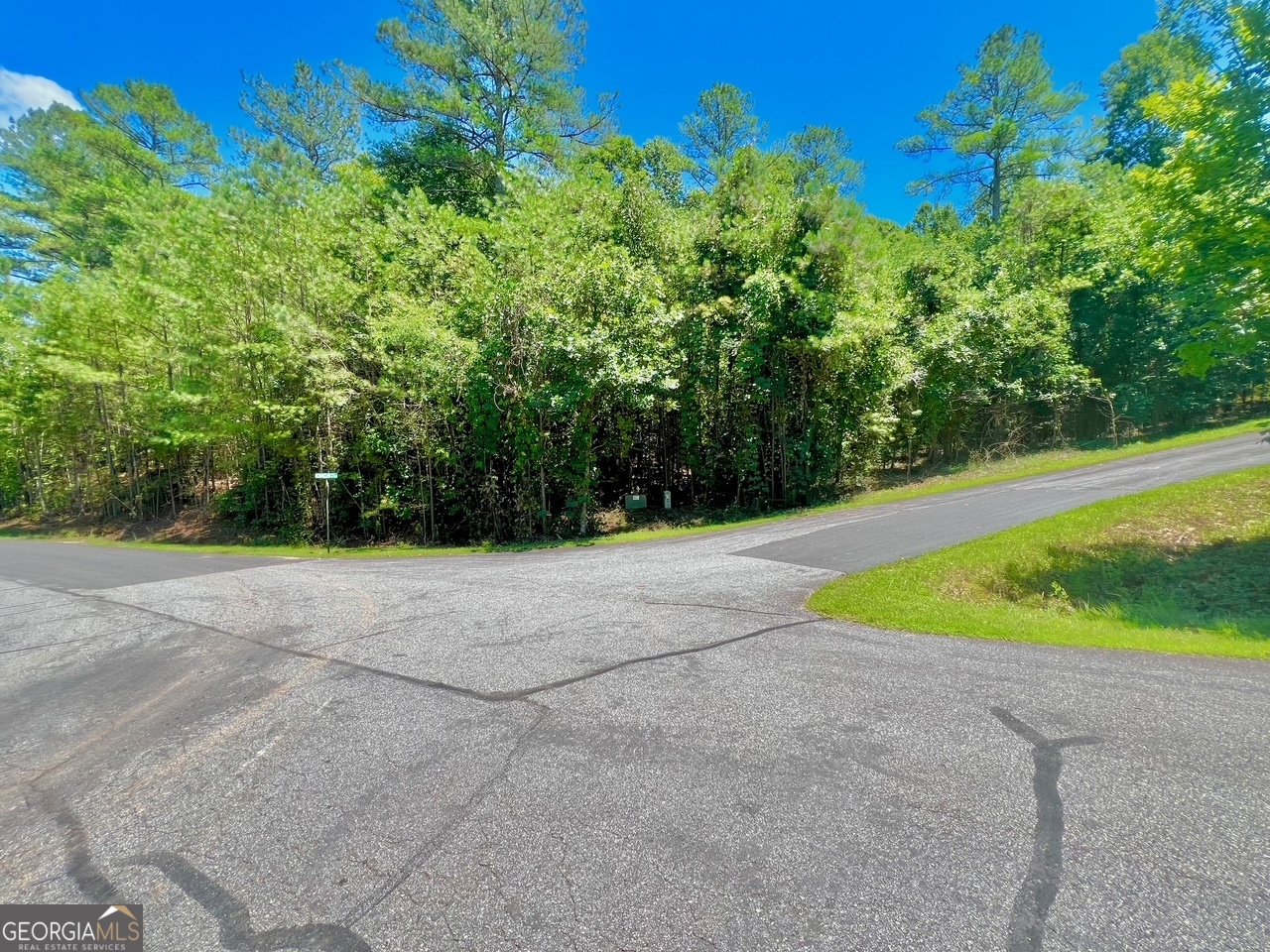Discover the perfect spot for your dream home on this expansive 2.19 acre corner lot nestled in the breathtaking North Georgia Mountains. Enjoy ample road frontage within a charming gated community, featuring beautiful custom craftsman homes. The property offers modern conveniences with underground utilities, high-speed fiber optics internet, public water, and all paved roads. Community amenities include a gated entrance, clubhouse, swimming pool and tennis courts, ensuring a vibrant lifestyle. Experience the serene privacy while being just minutes away from Lake Chatuge marina, National Forests, and Brasstown Valley Resort, renowned for its upscale spa, golf course and fine dining. This ideal location provides easy access to nearby hospitals and charming towns such as Blairsville, Hayesville and Hiawassee. Embrace the peace of nature along with all the conveniences you desire at Meadow Brooke-Your perfect retreat in the mountains!