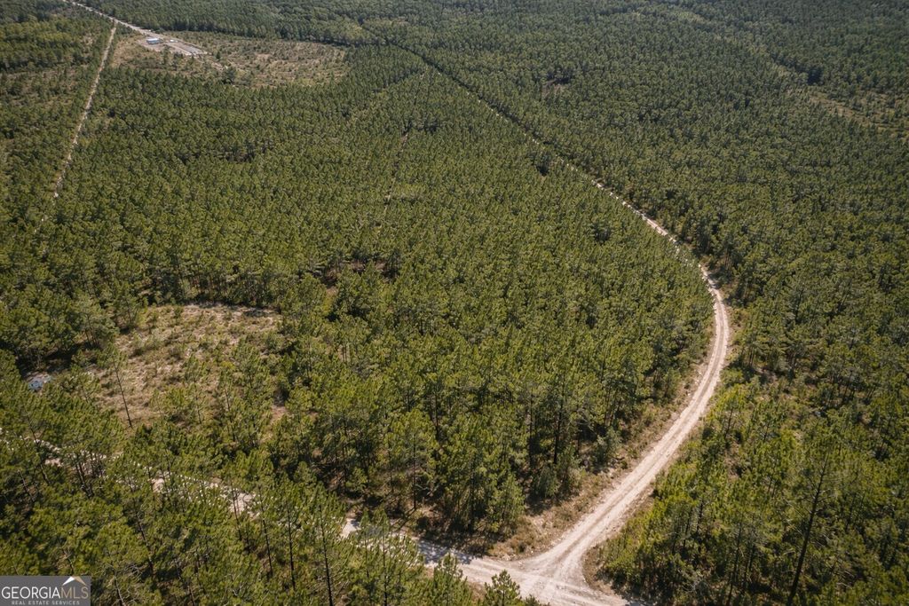 Photo of 0 Long Ford Road, Jesup, GA 31546 (MLS # 10724658)