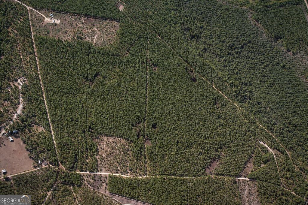 Photo of 0 Long Ford Road, Jesup, GA 31546 (MLS # 10724658)