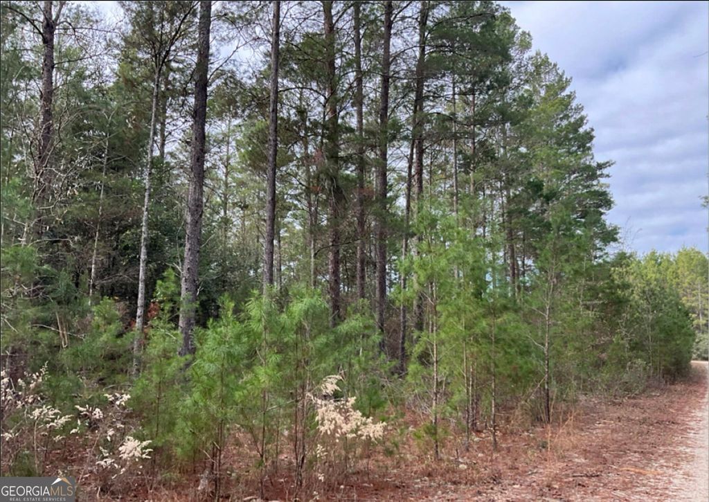 Photo of 0 Long Ford Road, Jesup, GA 31546 (MLS # 10724658)