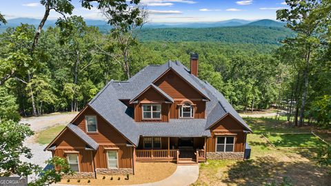 769 Voylestown RD Morganton GA 30560