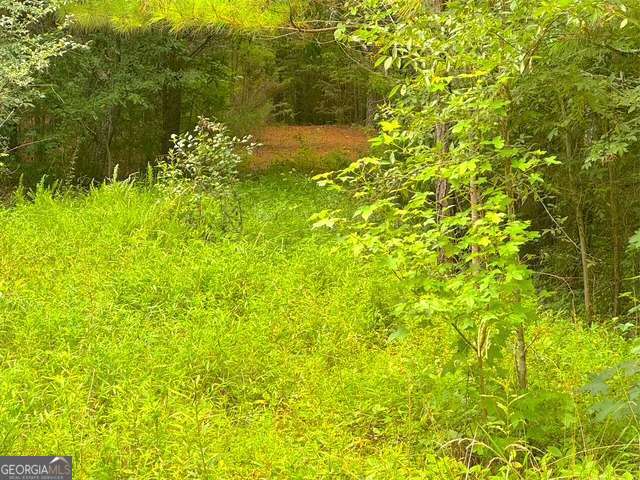 49 Iron Mountain RD NW