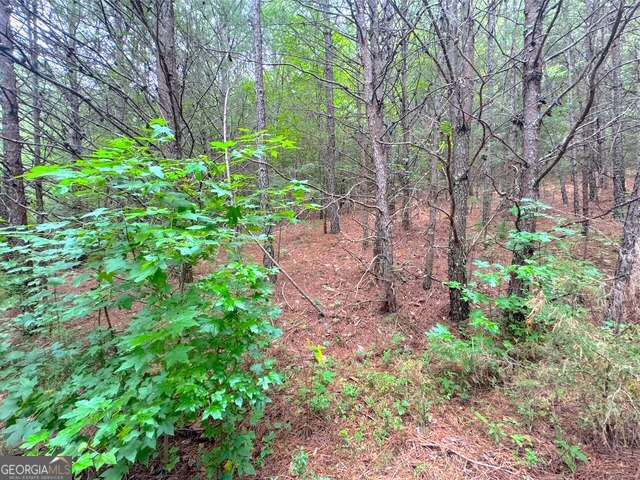 49 Iron Mountain RD NW