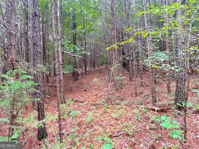 49 Iron Mountain RD NW