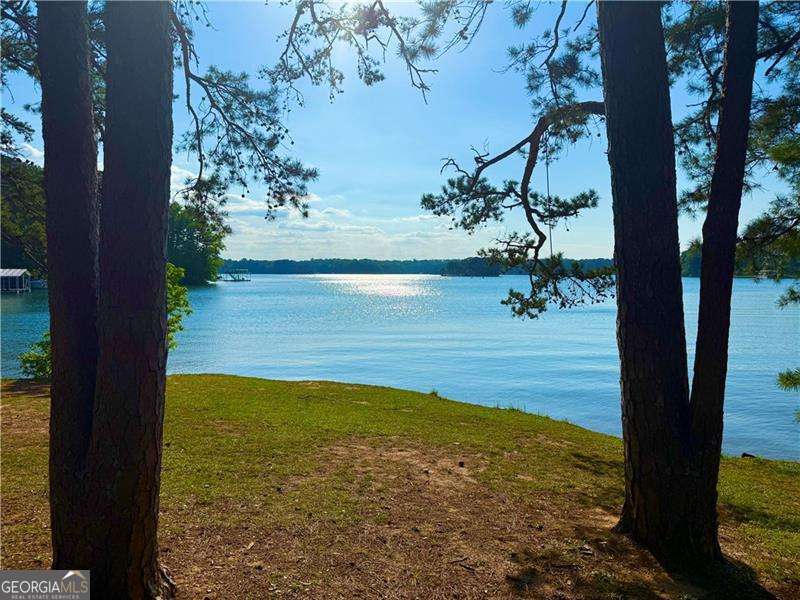 None - Lake Lanier - Residential