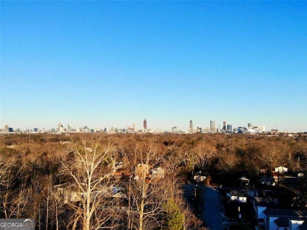 Photo of 1485 Norris Place NW, Atlanta, GA 30314 (MLS # 10828231)