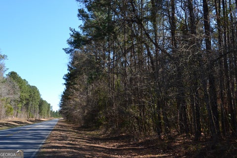 Photo of 0 Mark Wood Road, Dexter, GA 31019 (MLS # 10822455)