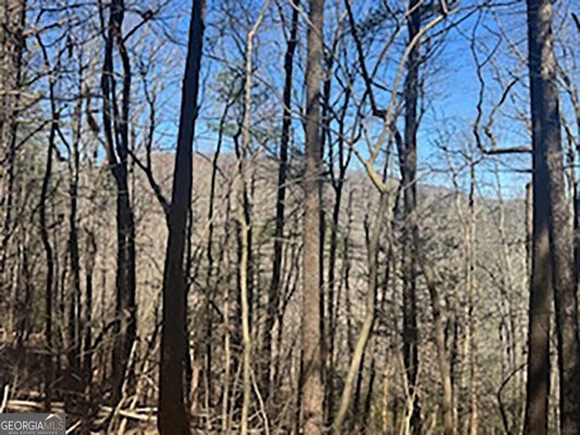 14 BUTLER CREEK RD, CHERRY LOG, GA 30522 - Image be96653ecc1f4e3ae3d172e702a2dd47/4132970532