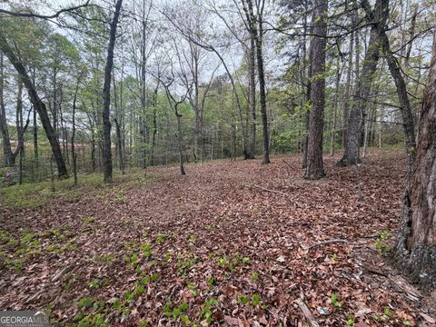 0 N County Line RD Alto GA 30510