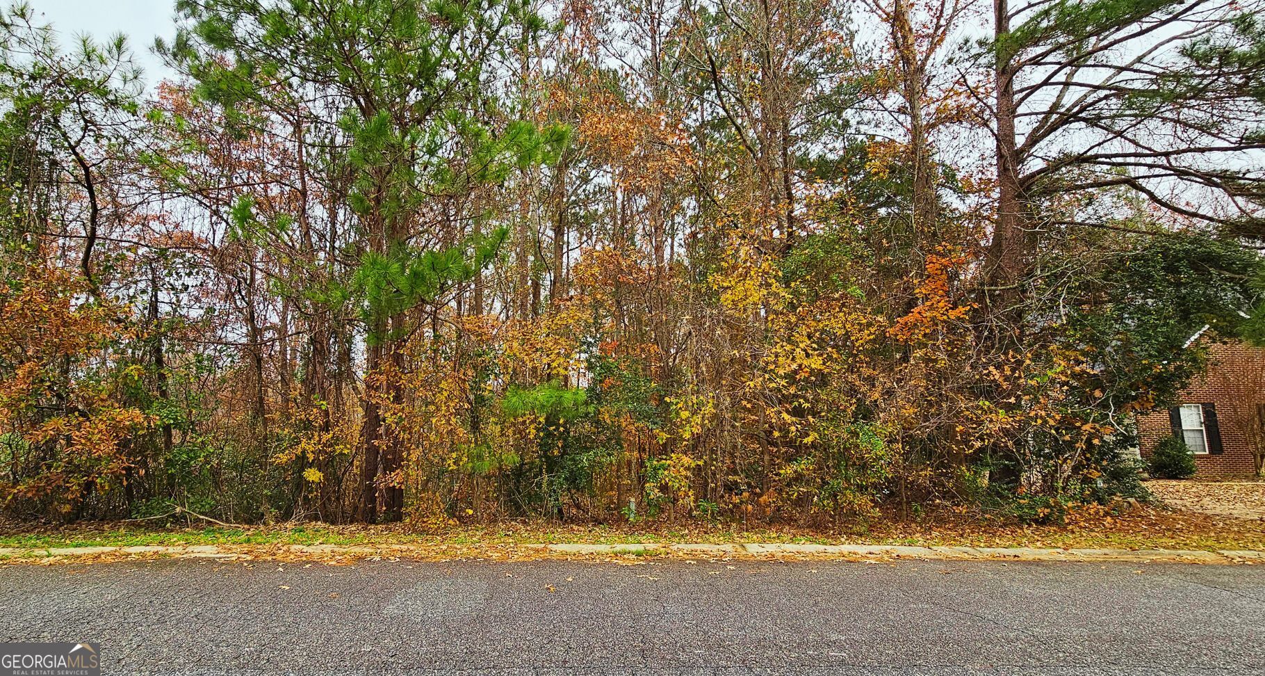 Set within the highly desirable Northridge Subdivision, this residential parcel offers a prime opportunity to build in a community brimming with exceptional amenities. Residents enjoy access to a refreshing pool, well-maintained tennis court, spacious clubhouse, and a playground perfect for families. The subdivision also boasts 24-hour lake access and scenic walking trails, providing endless options for leisure and relaxation. Conveniently located near major roads like Thomaston Road and Zebulon Road, as well as easy access to I-75 and I-16, this property combines a tranquil lifestyle with unmatched connectivity. Don't miss the chance to join this vibrant and established community!