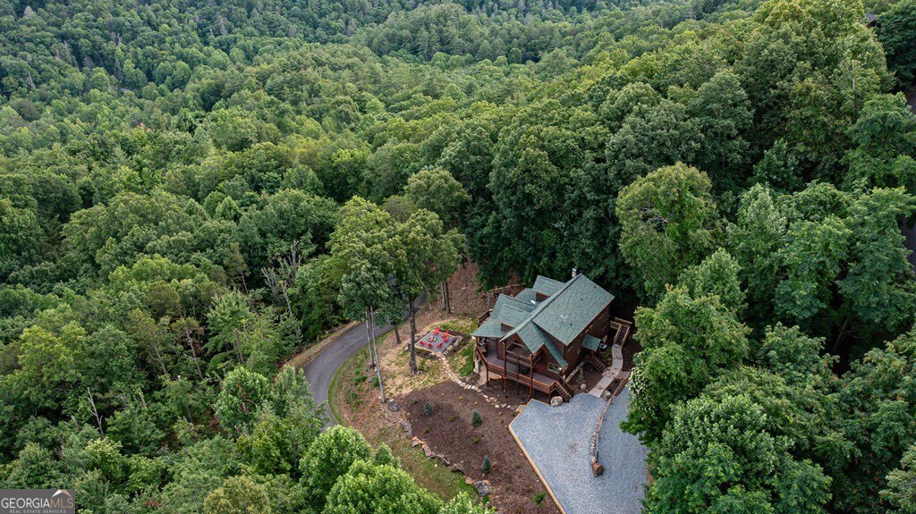 175 Cochise Rd, Blue Ridge, GA, 30522, USA, 4 Bedrooms Bedrooms, ,4 BathroomsBathrooms,Residential,Active,175 Cochise Rd,10674171