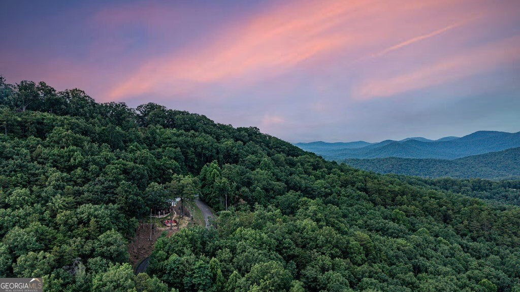 175 Cochise Rd, Blue Ridge, GA, 30522, USA, 4 Bedrooms Bedrooms, ,4 BathroomsBathrooms,Residential,Active,175 Cochise Rd,10674171