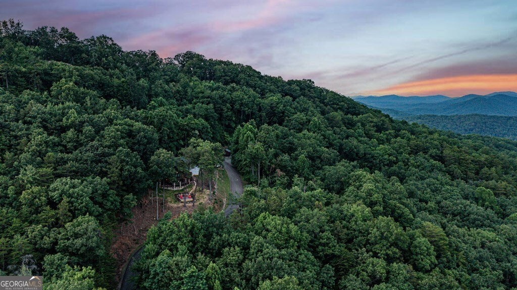 175 Cochise Rd, Blue Ridge, GA, 30522, USA, 4 Bedrooms Bedrooms, ,4 BathroomsBathrooms,Residential,Active,175 Cochise Rd,10674171