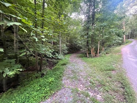 Photo of 725 Anderson Lane, Ranger, GA 30734 (MLS # 10182353)