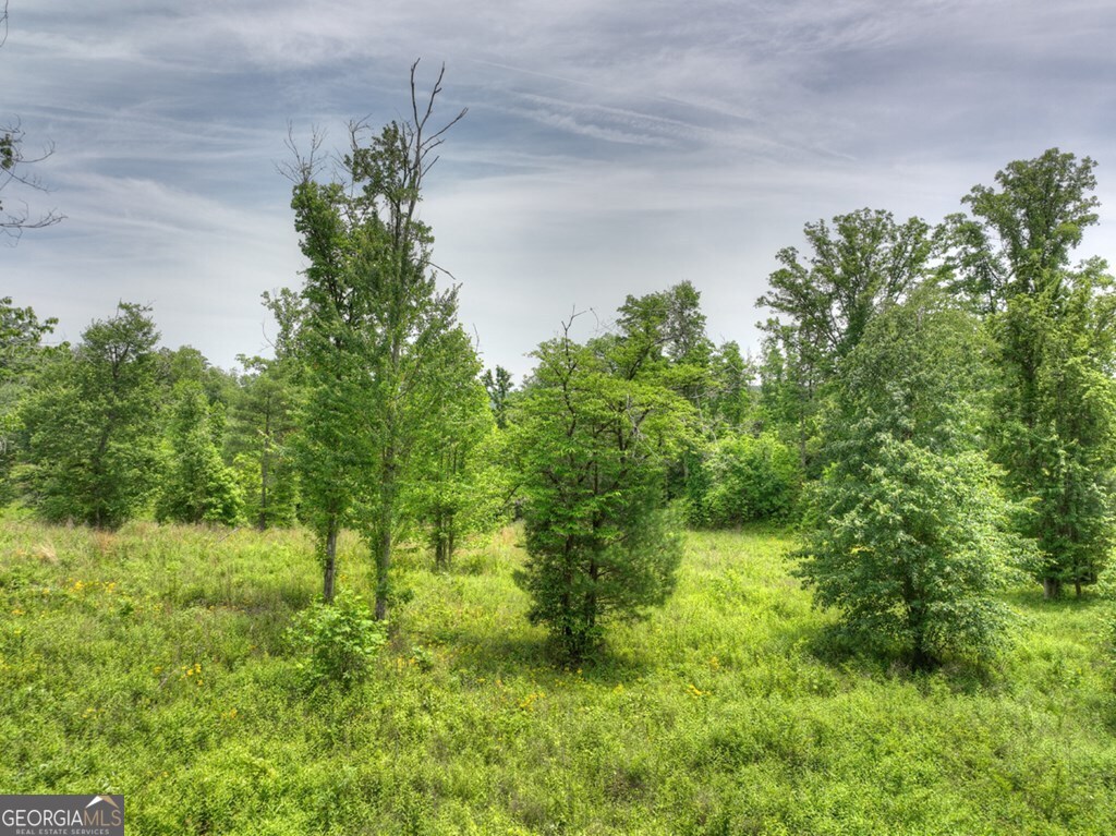 LOT 13 Haven WAY