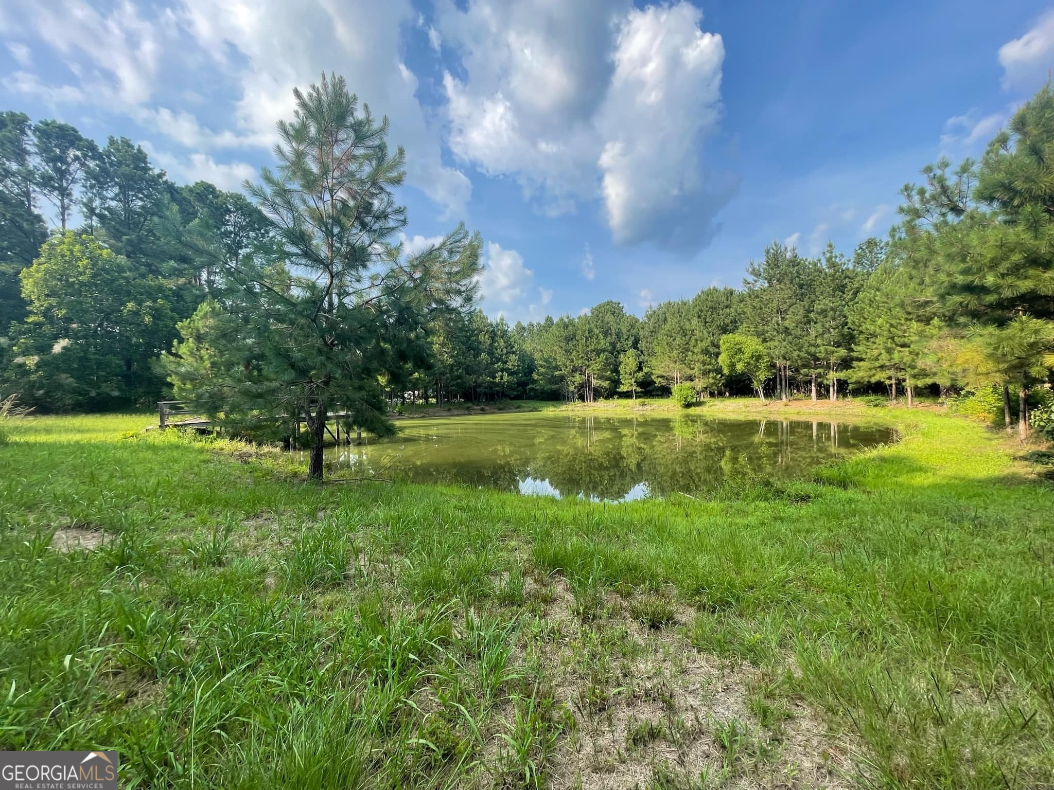Look no more! Just outside of the city limits south of Wrightsville, GA off GA Hwy 15. Large lot waiting for your DREAMHOME. This property offers a stocked fishpond. Well and electricity are already established. Lot has 15+ year old timber pines and offers abundance of wildlife. Land is SOLD AS IS and Buyer has the RIGHT to a DUE DILIGENCE Period. The buyer has the right to check with a soil scientist or check with the health department for a soil test for a septic system.