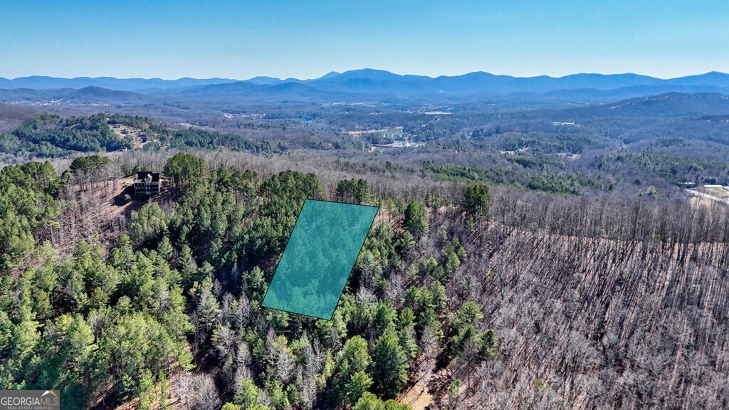 HIDDEN GEM in LOFTIS MOUNTAIN - 1.01 ACRE with STUNNING POTENTIAL This PRIVATE WOODED LOT in the UPSCALE LOFTIS MOUNTAIN community, offering the potential for BREATHTAKING LONG-RANGE MOUNTAIN VIEWS with a little clearing. Nestled in a PEACEFUL, QUIET setting, yet just minutes from LAKE NOTTELY, BLAIRSVILLE, and MURPHY, this location provides the perfect blend of SECLUSION and CONVENIENCE. Features include PAVED ROADS, UNDERGROUND UTILITIES, PUBLIC WATER, and FIRE HYDRANTS. A community playground is being added in the near future adding to the charm. The property is also CLOSE TO SHOPPING, DINING, and RECREATIONAL ACTIVITIES, making it an ideal spot for your DREAM HOME. Enjoy easy access to LAKE NOTTELY for FISHING and BOATING, along with the NATURAL BEAUTY of the NORTH GEORGIA MOUNTAINS. Don't miss this INCREDIBLE OPPORTUNITY to build in one of the area's BEST-KEPT SECRETS! CALL TODAY for more details. Seller also owns lot 30 and would make a deal for purchasing both lots.