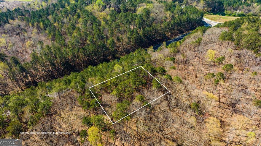 Small lot on Hwy 92 that adjoins larger tract, potential commercial. Call for more details.