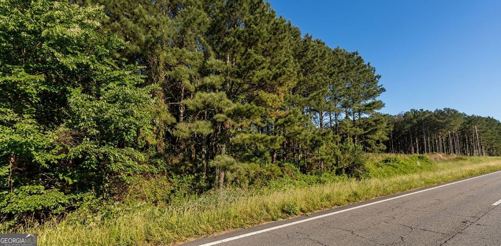 Photo of 19484 Highway 41, Unadilla, GA 31091 (MLS # 10877934)