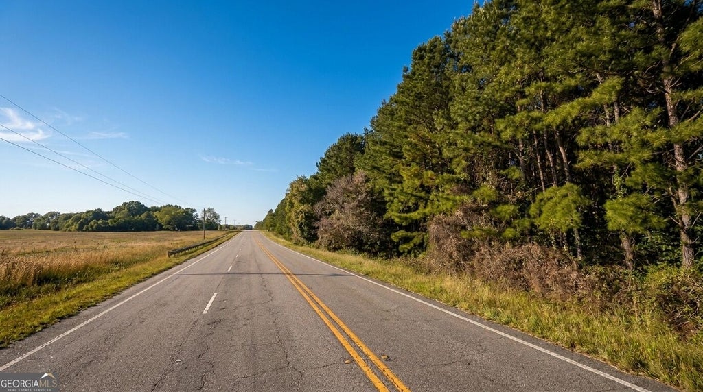 Photo of 19484 Highway 41, Unadilla, GA 31091 (MLS # 10877934)