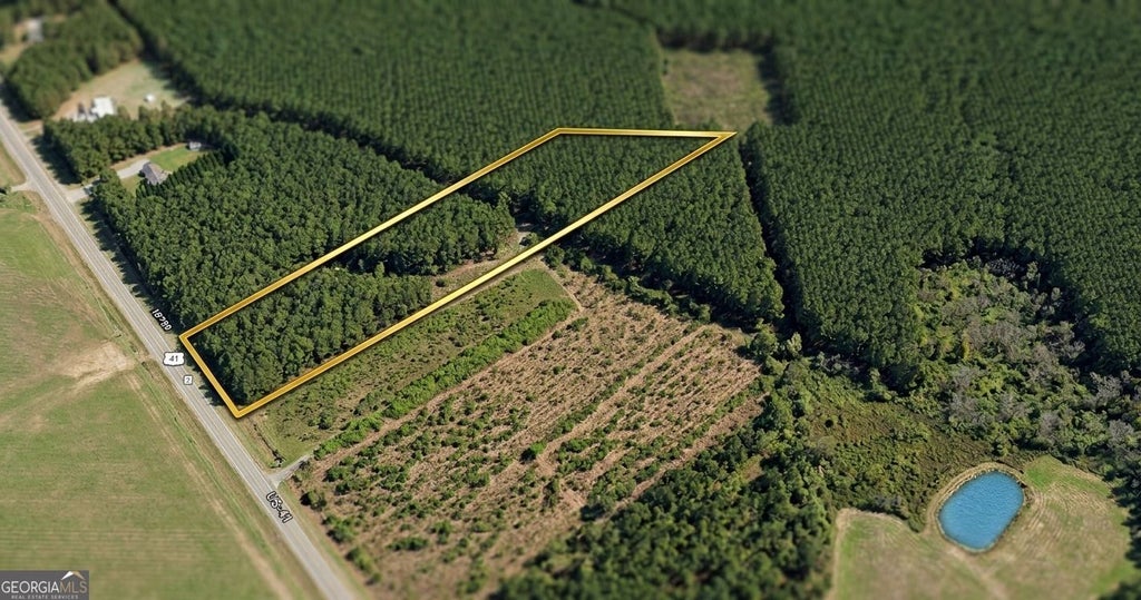 Photo of 19484 Highway 41, Unadilla, GA 31091 (MLS # 10877934)
