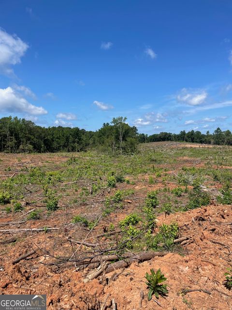 Photo of 776 Allen Road, Butler, GA 31006 (MLS # 10628619) Photo of 776 Allen Road, Butler, GA 31006 (MLS # 10628619)
