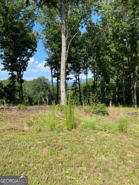 Crown Point lot in Highland Park. 1.53 acres. Very nice mountain view. Perfect homesite right off the subdivision road. Providing easy 1 level access with no steep drive. Property slopes gently toward the back making it a great option for a crawl space or walkout basement. Water, power, internet are all in place. Potential for year round mountain views with some clearing. The community has a wonderful clubhouse with fitness center, saltwater infinity pool, game room and movie theater. The location is excellent with immediate access to Lake Nottely at the community marina, 4 miles from the town of Blairsville and 15 minutes of many area attractions. Check out this exclusive lot at Crown Point.
