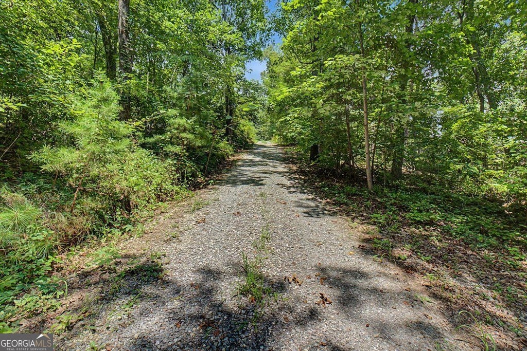 Photo of 276 Wilderness Camp Road SE, White, GA 30184 (MLS # 10826429)
