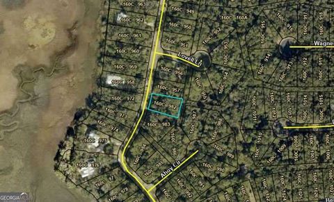 Photo of 982 Becket Road, St. Marys, GA 31558 (MLS # 10468263)