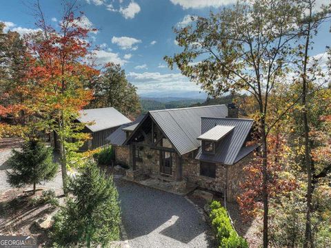 A home in Mineral Bluff