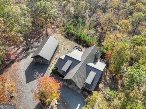 A home in Mineral Bluff