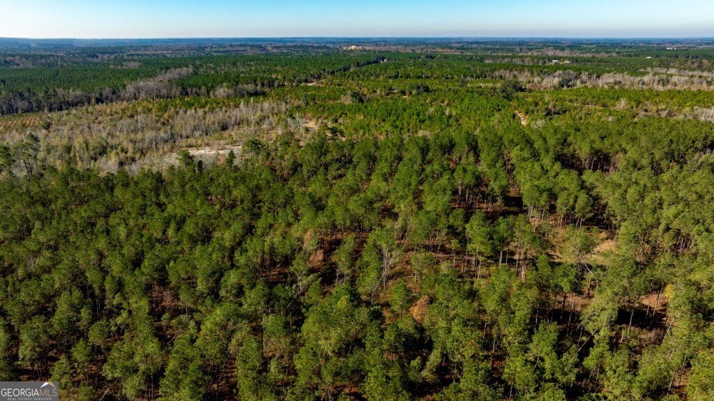 0 S Highway 19 & Warm Spring RD