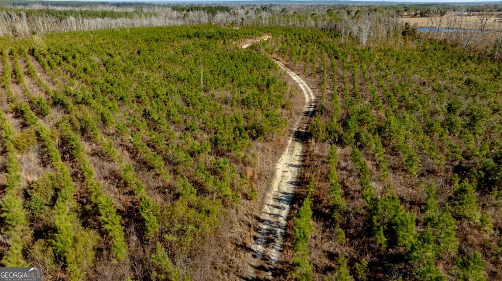 0 S Highway 19 & Warm Spring RD