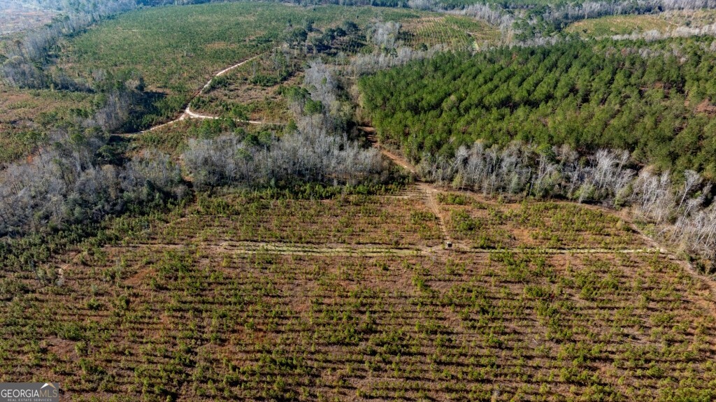 0 S Highway 19 & Warm Spring RD