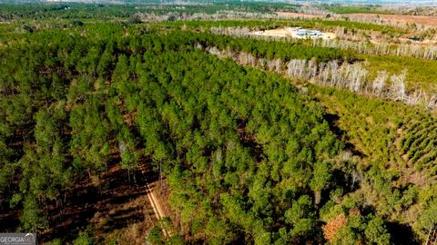 0 S Highway 19 & Warm Spring RD Glenwood GA 30428