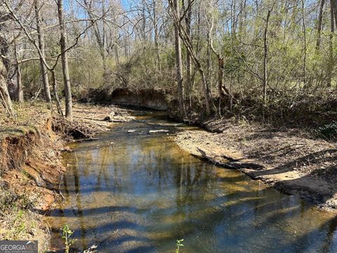 146 ACRES Roosevelt HWY Warm Springs GA 31830