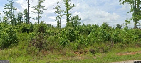 Photo of 219 Kendall Drive, Griffin, GA 30224 (MLS # 10871623)