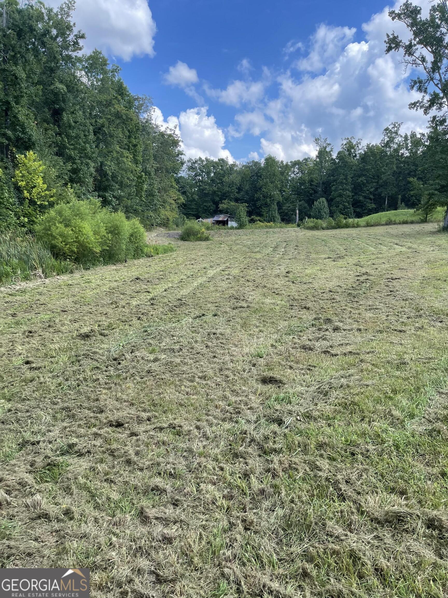 Chatsworth, Georgia 30705, United States, ,Residential,Active,46697