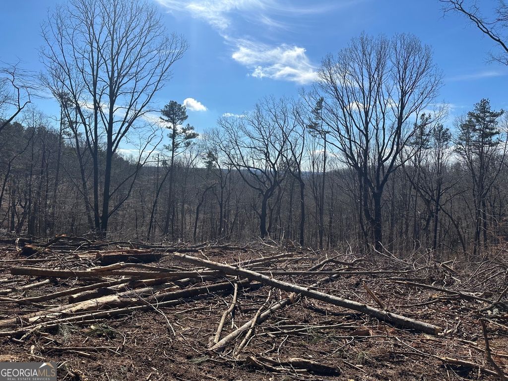 Photo of 2768 Chapman Ridge Lane, Dahlonega, GA 30533 (MLS # 10697225)