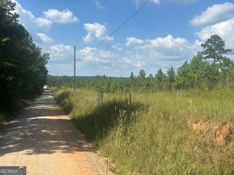 Photo of 0 Cook Road #TRACT 9, Monticello, GA 31064 (MLS # 10848933)