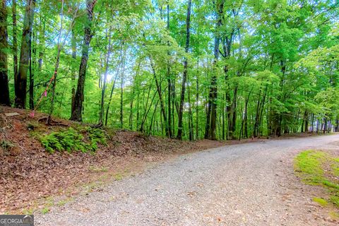 Photo of 350 Mountain View Court, Ellijay, GA 30540 (MLS # 10613044)