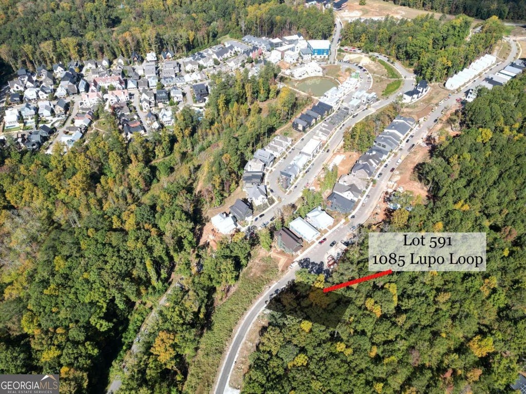 Photo of 1085 Lupo Loop, Chattahoochee Hills, GA 30268 (MLS # 10215995)