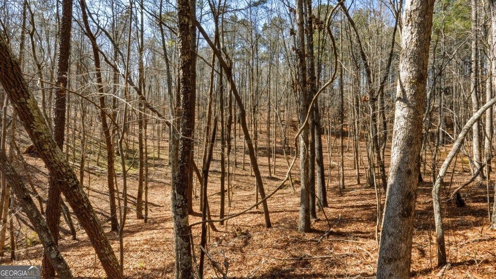 Photo of 0 Hubbardsville Circle #B, Dawsonville, GA 30534 (MLS # 10803257)