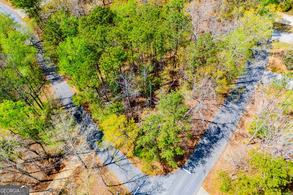 Photo of 6156 Belle Meade Drive, Villa Rica, GA 30180 (MLS # 10726564)